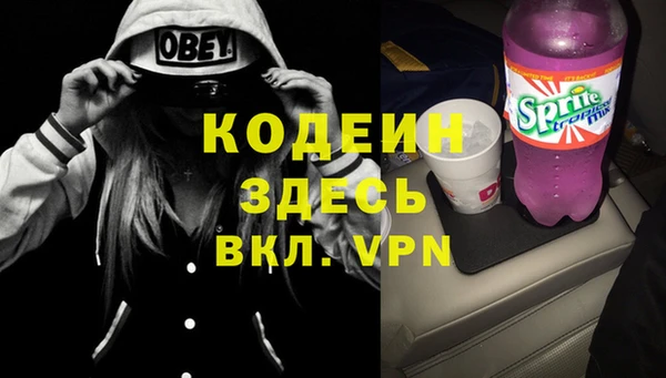 шишки Иннополис