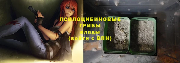 бутират Инсар