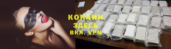 шишки Иннополис