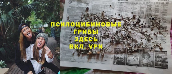 шишки Иннополис