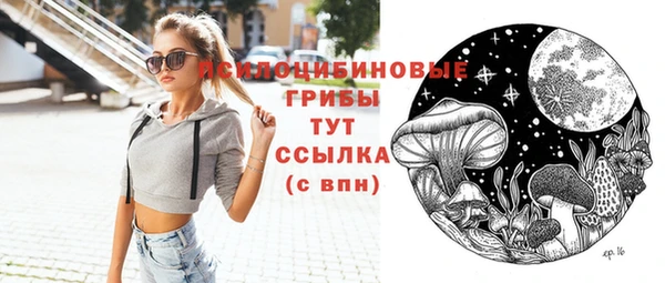 шишки Иннополис