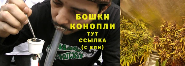 шишки Иннополис