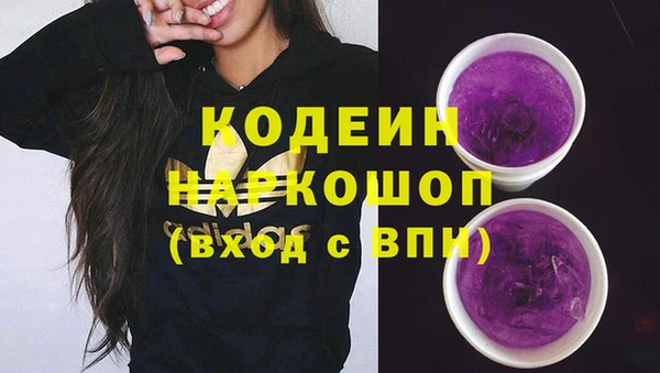 шишки Иннополис